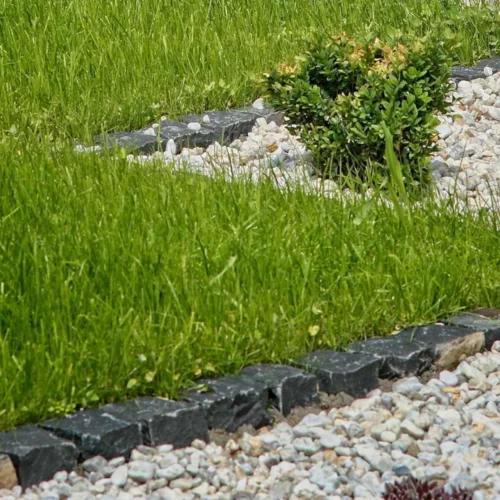 żwir Japoński ogórd