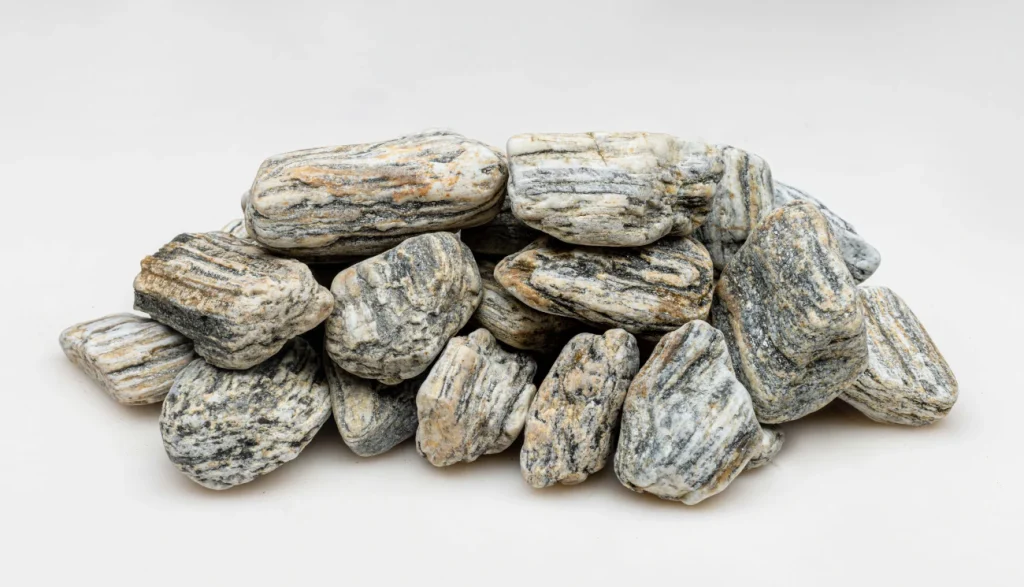 Gneiss Pebble
